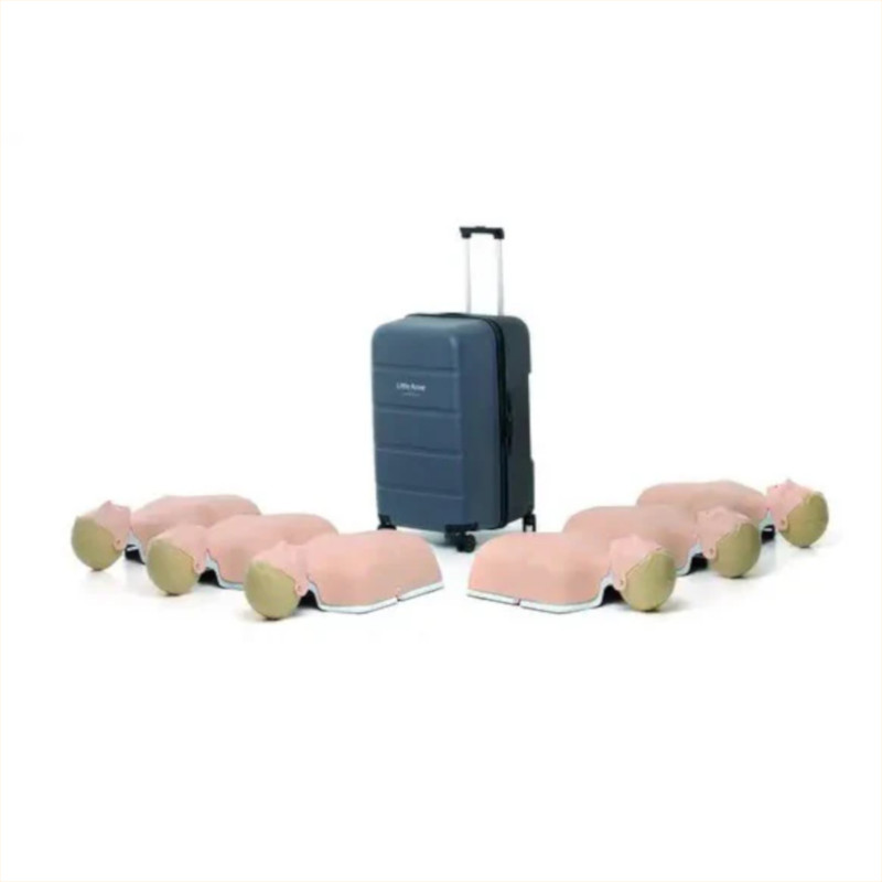 Little Anne Light 6-pack (Laerdal)