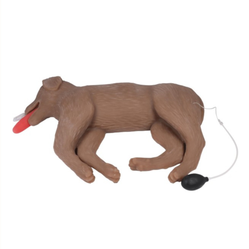 CooPeR- Manichino di cane per la rianimazione CPR