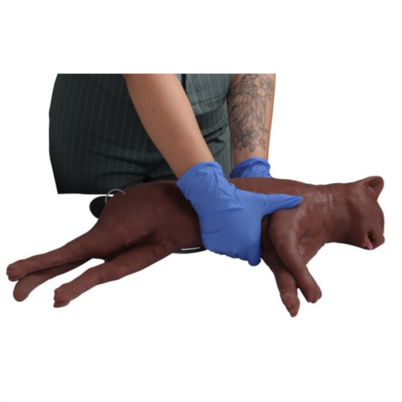 CaPPeR – Manichino di gatto per la rianimazione CPR